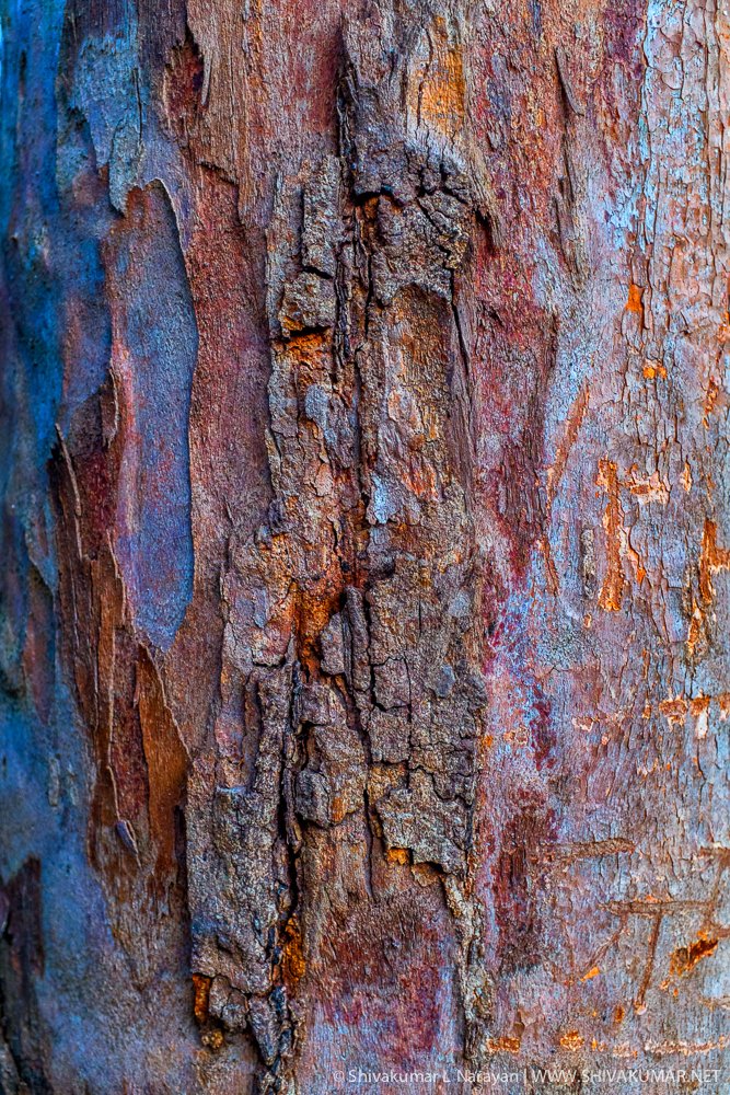 Colorful Imperfections - Nature Abstract Series