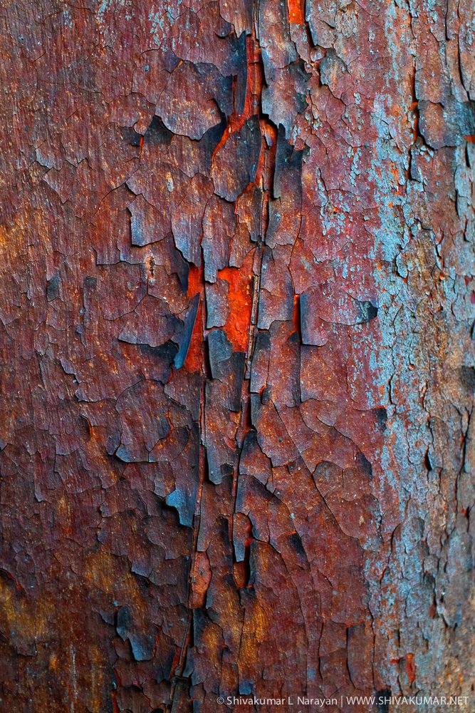 Colorful Imperfections - Nature Abstract Series